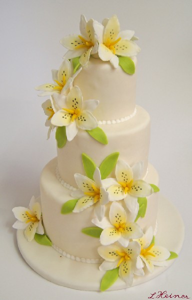 Https Encrypted Tbn0 Gstatic Com Images Q Tbn 3aand9gcsvyfmoeelma89l3atiebxexp2qarwyaqsmw Ffp2kjh4xpjlut Usqp Cau